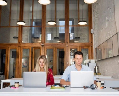 Two colleagues working side by side on laptops in a modern office setting.