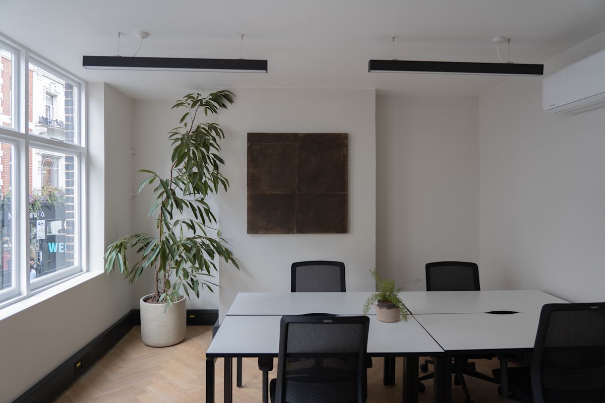 Modern office space on Berwick Street with a large potted plant, a minimalist table and chairs, and wall art.
