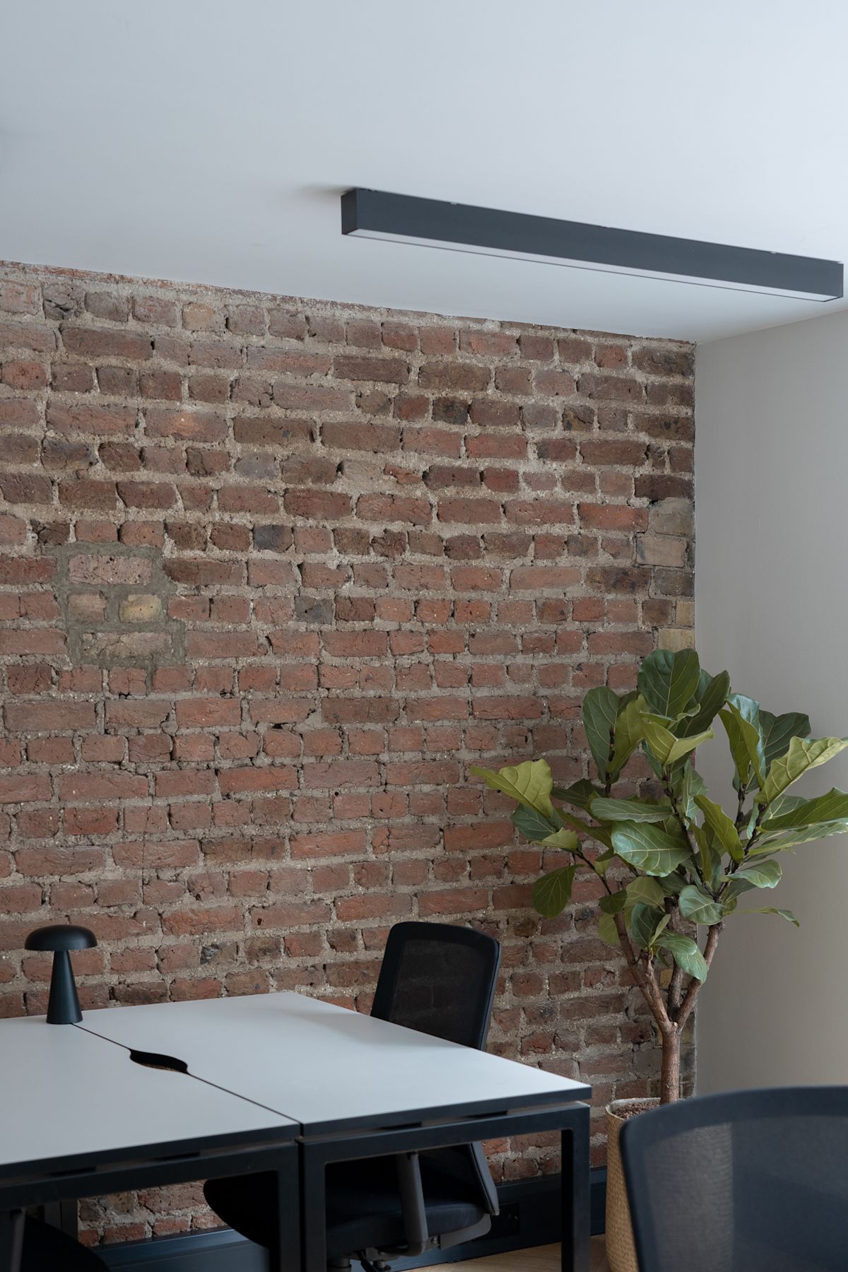 A modern office space with exposed brick walls, a desk, chairs, and a potted plant.