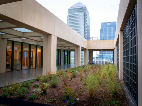 View of a modern terrace with greenery at Cabot Square 25, London, framed by office buildings.