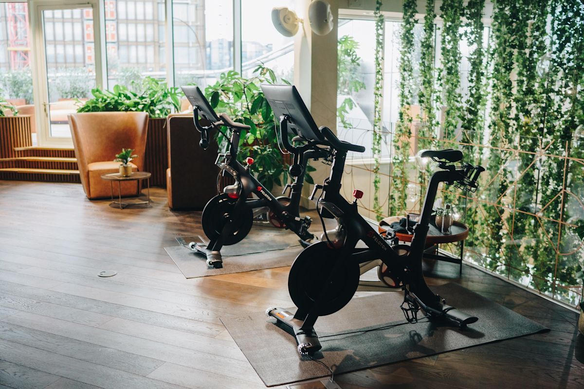 Two Peloton exercise bikes in a bright, plant-filled room with large windows.
