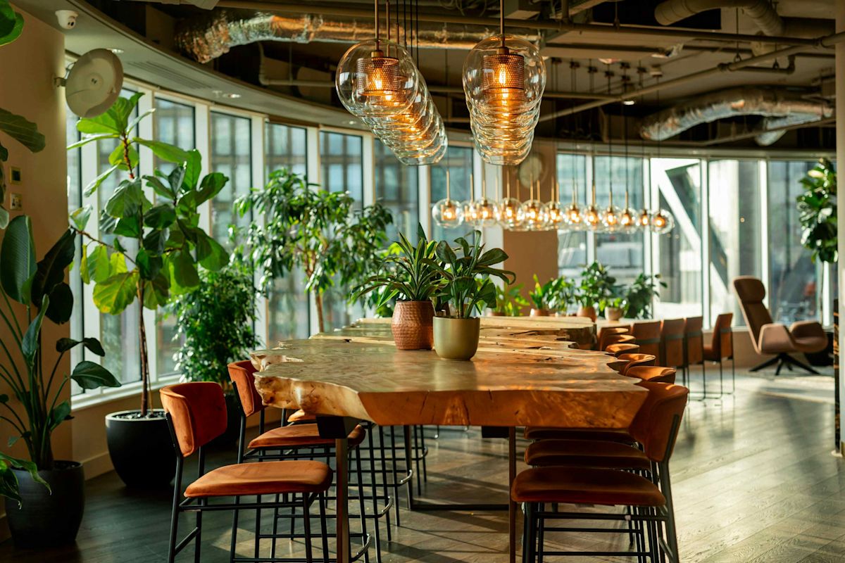 Modern office space with a large wooden table, orange chairs, and green plants, illuminated by hanging lights.
