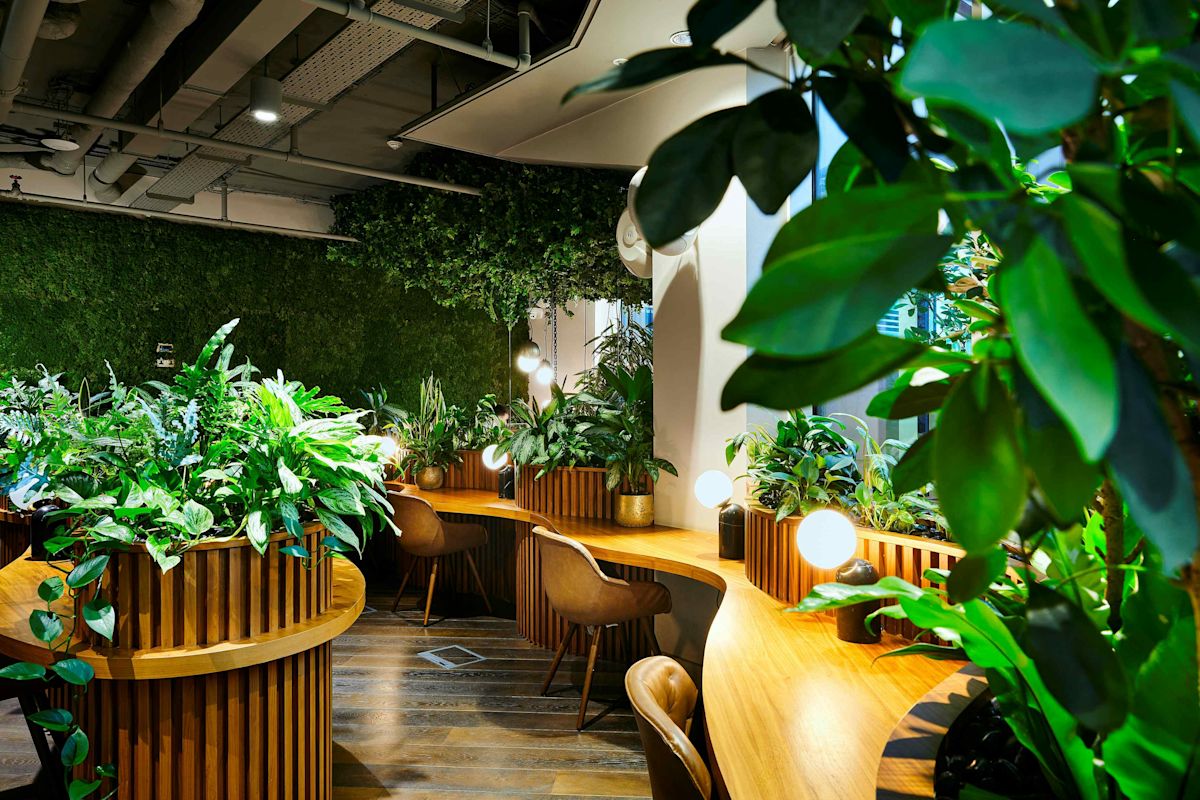 A modern office space at Liverpool Street, London, featuring greenery and wooden desks with stylish chairs.