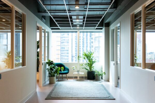Bright, modern office corridor with large windows, a chair, and several potted plants.