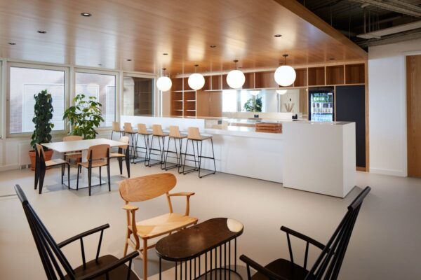 A modern and well-lit co-working space featuring a wooden ceiling, bar seating, and large potted plants.