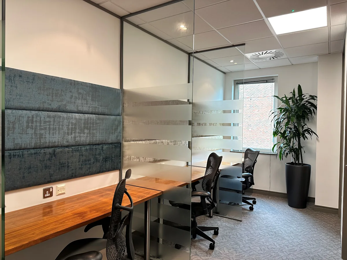 Modern office space with glass partitions, wooden desks, ergonomic chairs, and a large potted plant.