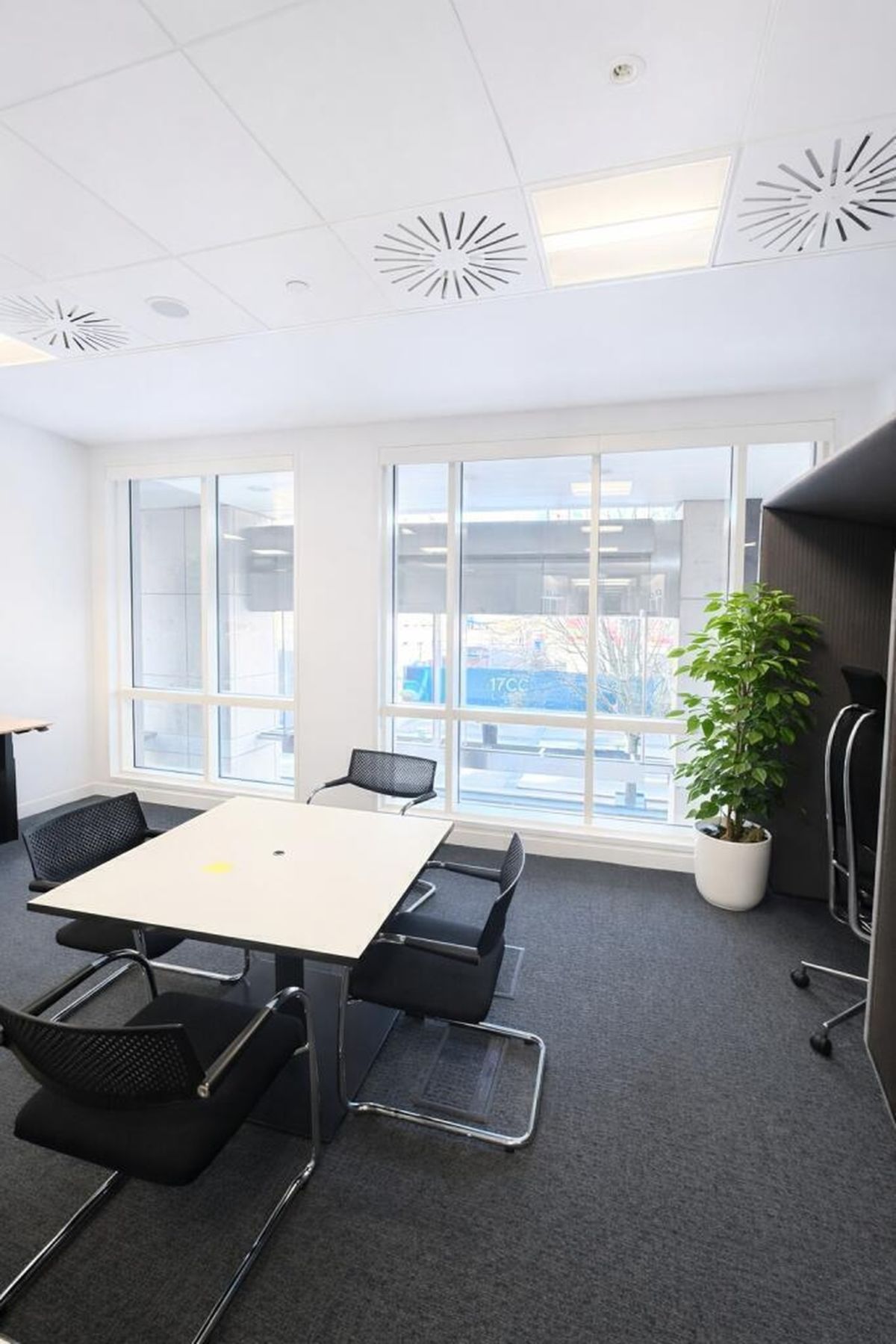 A modern office space with a white table, four black chairs, large windows, and a potted plant.